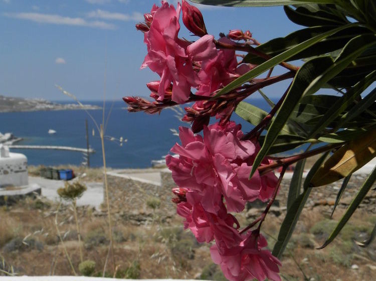 Maroulina's Boutique Studios & Apartments