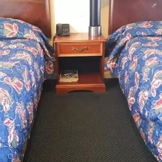 モーテル The Virginia Lodge