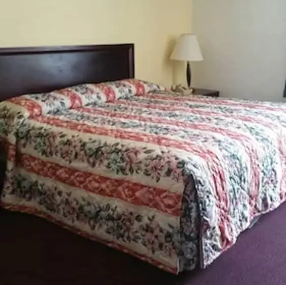 モーテル The Virginia Lodge