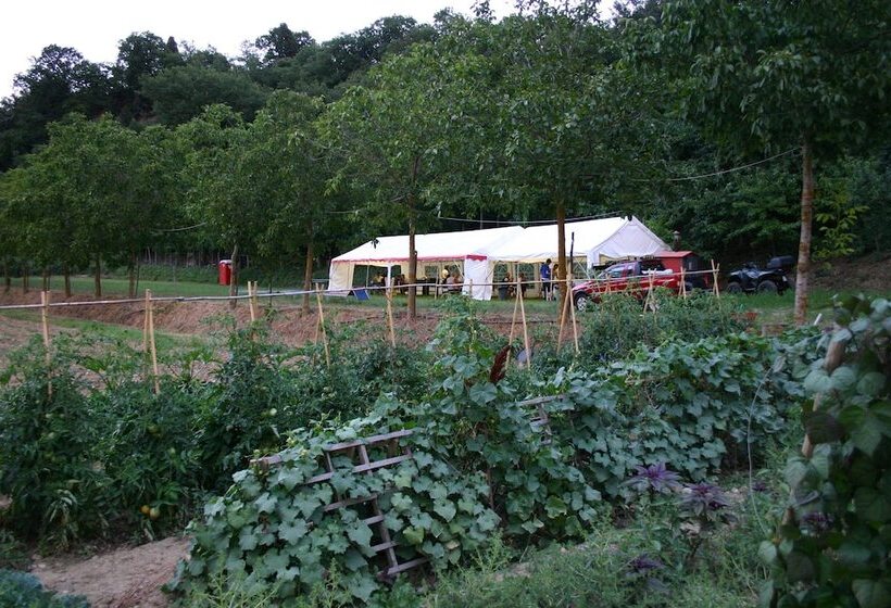 ホテル Agriturismo La Pietriccia