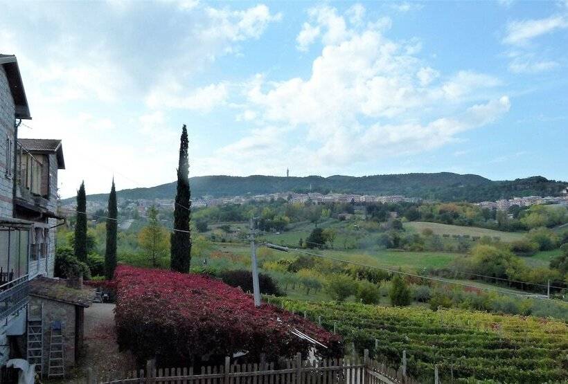 ホテル Agriturismo La Pietriccia
