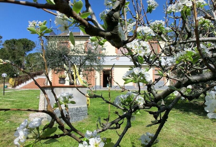 ホテル Agriturismo La Pietriccia