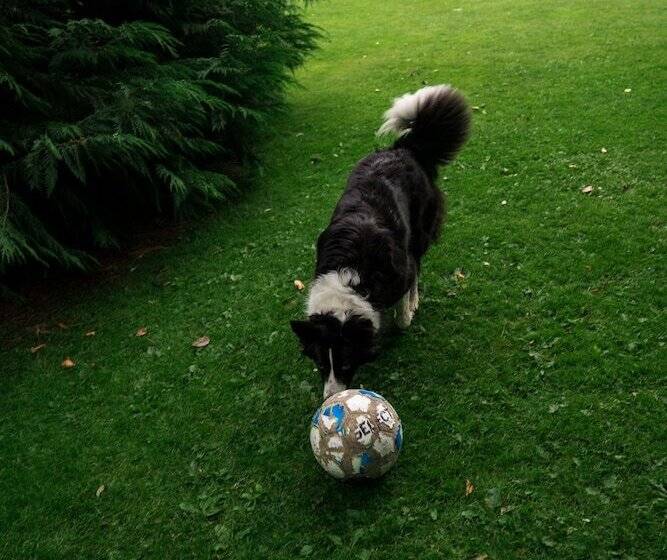 Hotel By The Bridge Bed & Breakfast