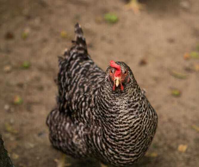 Hotel By The Bridge Bed & Breakfast