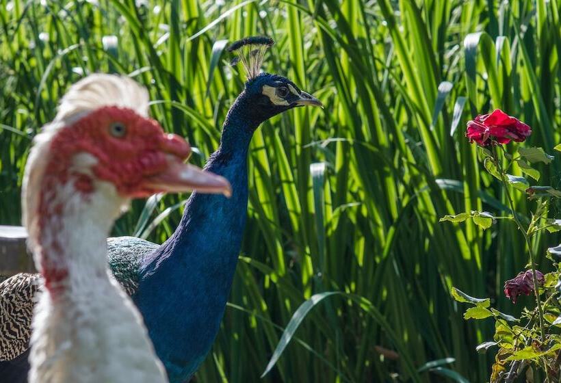 Hotel By The Bridge Bed & Breakfast