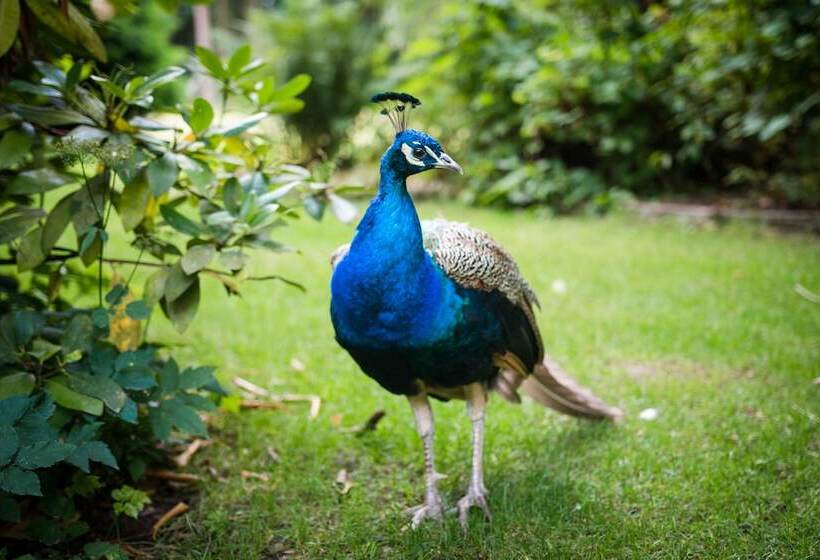 Hotel By The Bridge Bed & Breakfast