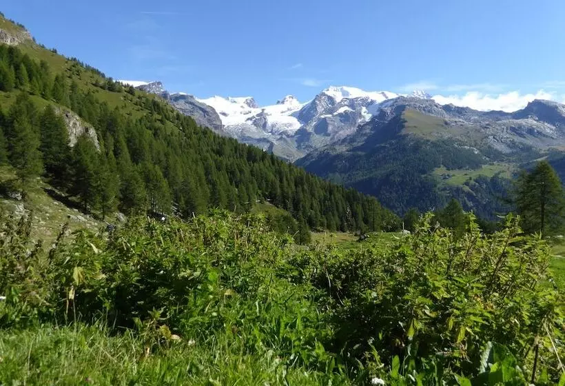 ホテル Family Apartments Le Chalet