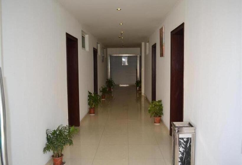 Hotel Greentree Inn Chongming Nanmen Express