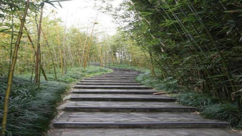 Hotel Greentree Inn Chongming Nanmen Express