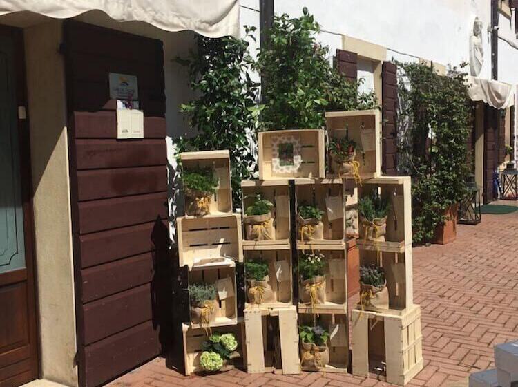 בית מלון כפרי Resort La Mola