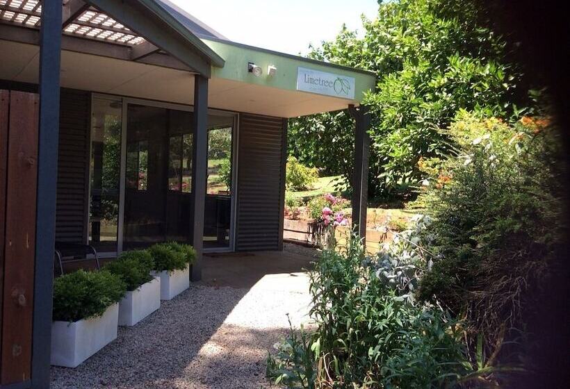 Limetree Hideaway
