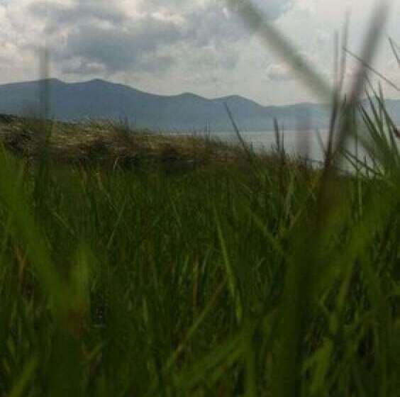 Shores Country House Bed & Breakfast