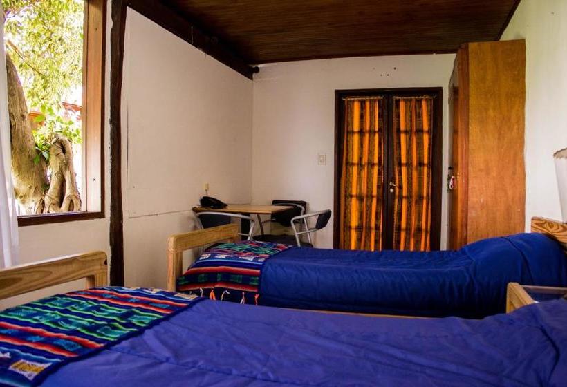 호텔 Hostal Del Alma