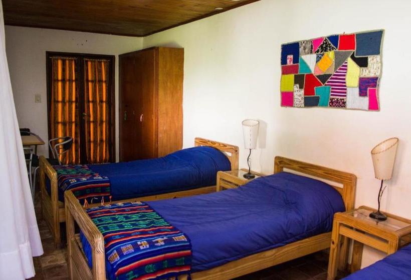 호텔 Hostal Del Alma