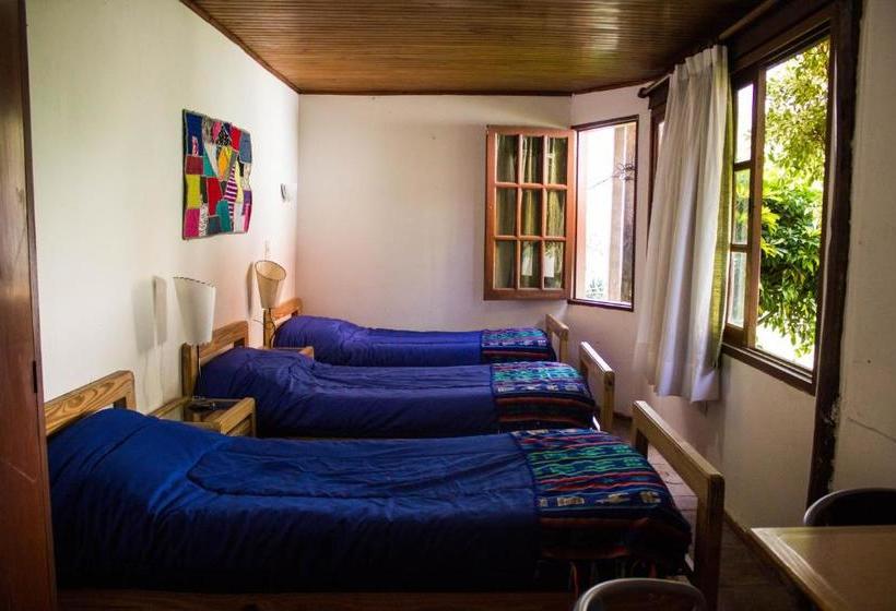 호텔 Hostal Del Alma