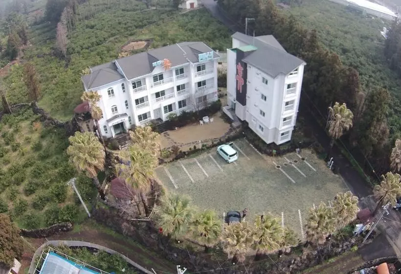 ホテル Jungmun Jejuhue Pension
