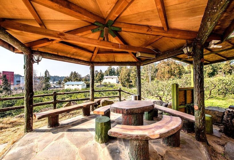 בית מלון כפרי Jungmun Jejuhue Pension