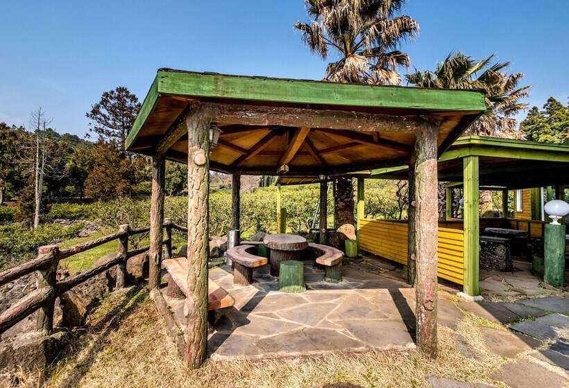 בית מלון כפרי Jungmun Jejuhue Pension