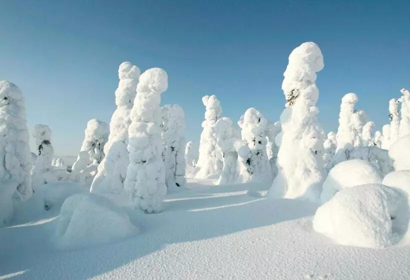 ホテル Li Suomutunturi