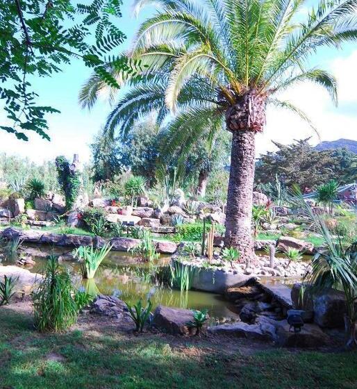 Отель Punta Sur