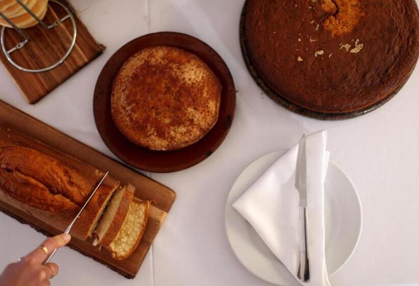 Отель Punta Sur