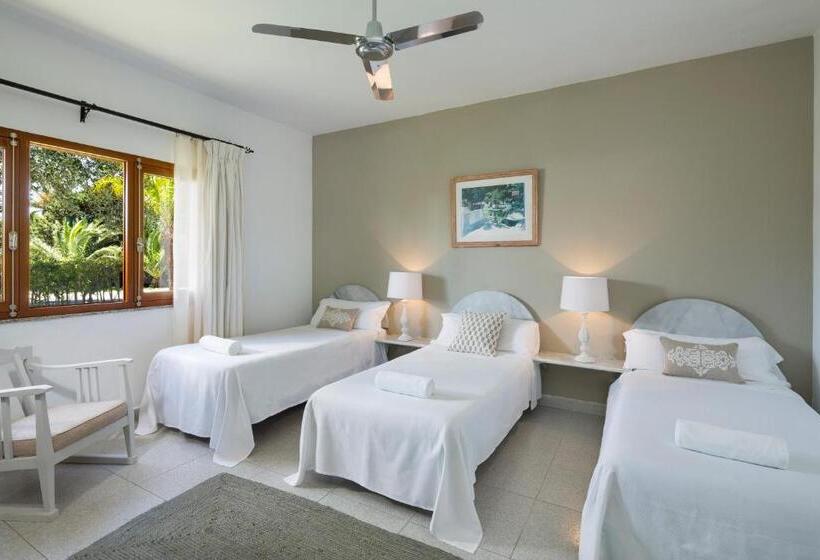 Отель Punta Sur