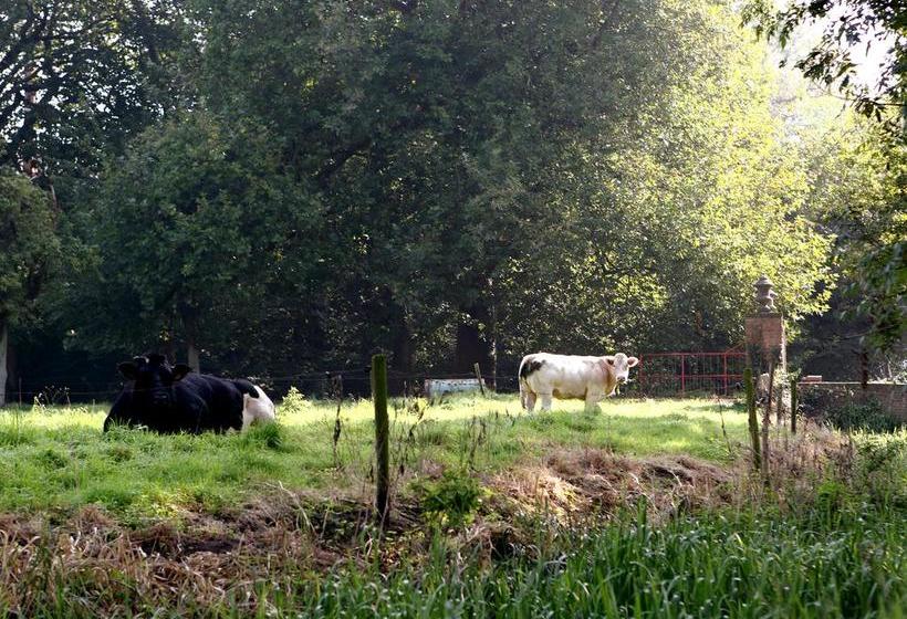 בית מלון כפרי Roodhof