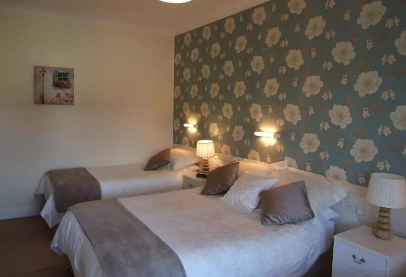 Aamiaismajoitus (B&B) Shannonside House N37hf67