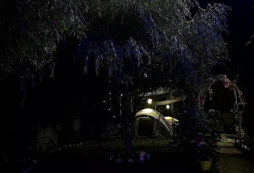 ホテル Family In The Hills By Nature S Glamping