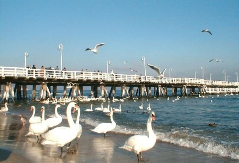 Dom & House   Willa Baltic Residence