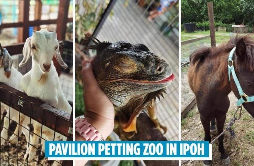 فندق Highway Budget