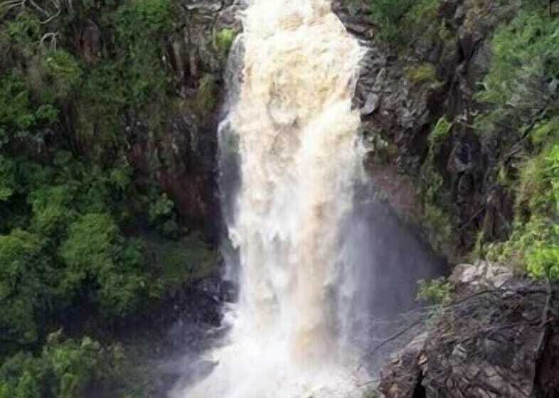 فندق Spring Creek Mountain Cafe & Cottages