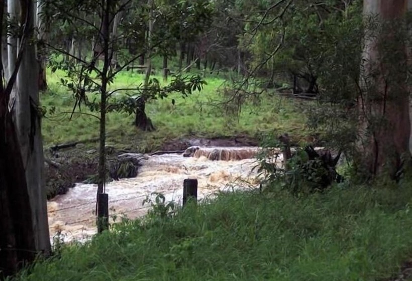 فندق Spring Creek Mountain Cafe & Cottages