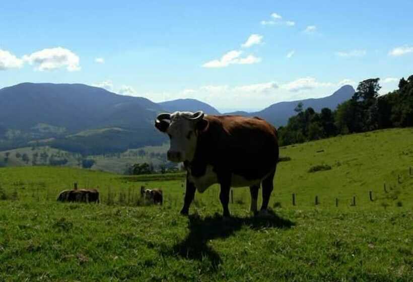 فندق Spring Creek Mountain Cafe & Cottages