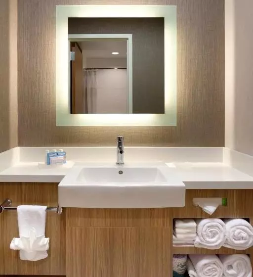 ホテル Springhill Suites By Marriott Moab