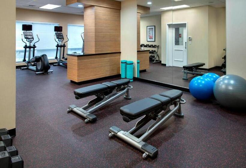 هتل Towneplace Suites By Marriott Nashville Goodlettsville