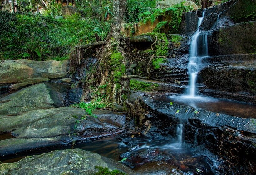 Pension Beetleloop Guest House