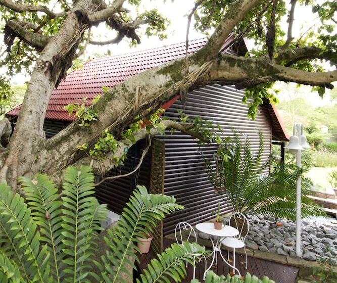 Pension Beetleloop Guest House