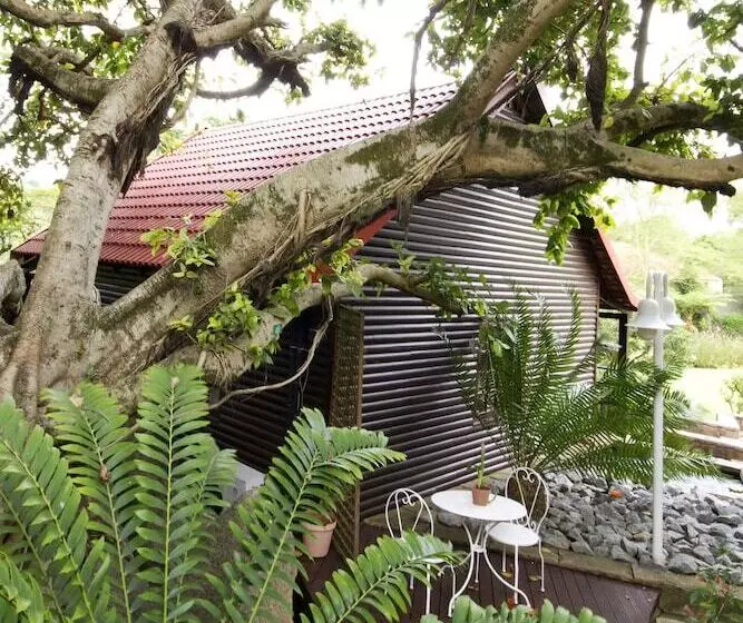 Majatalo Beetleloop Guest House