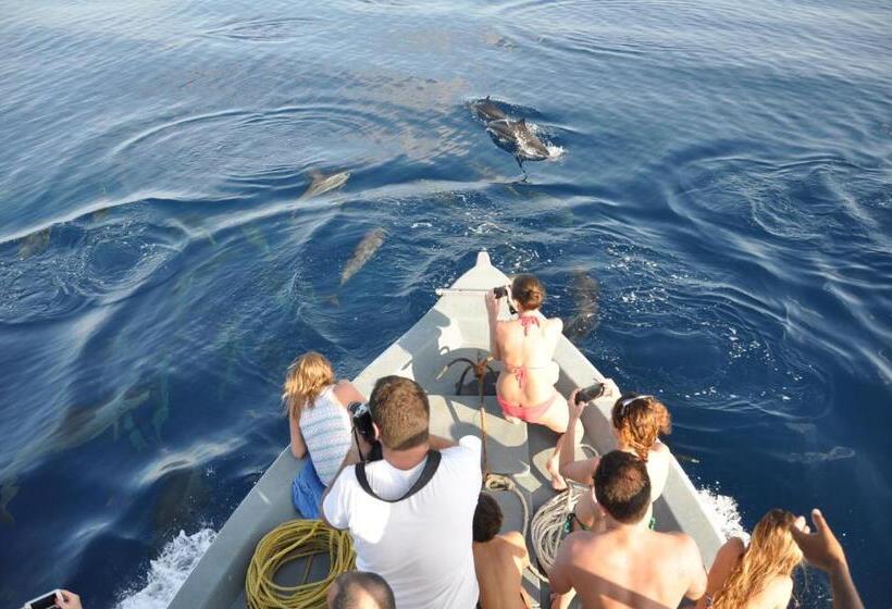 پانسیون Lvis Blancura