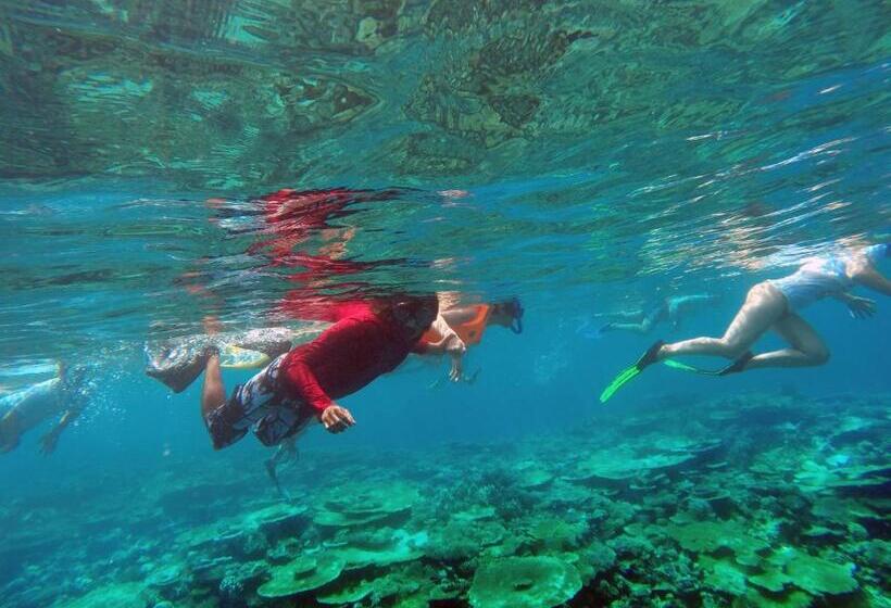 پانسیون Lvis Blancura