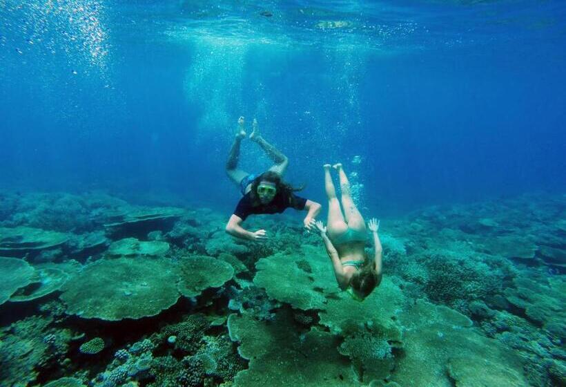 پانسیون Lvis Blancura