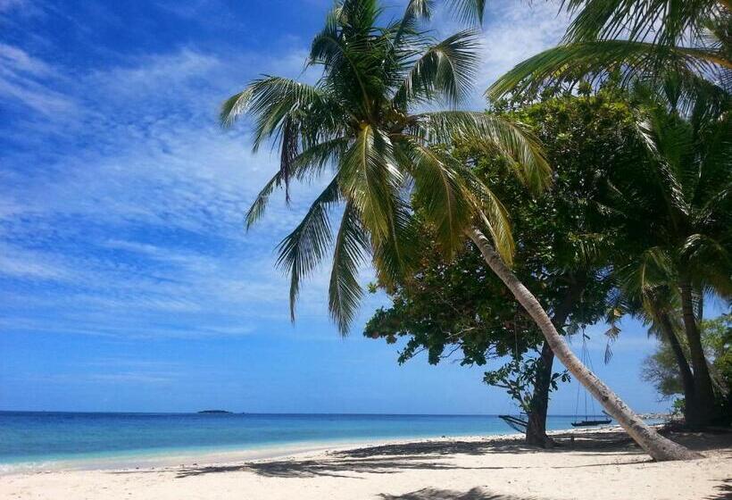 پانسیون Lvis Blancura