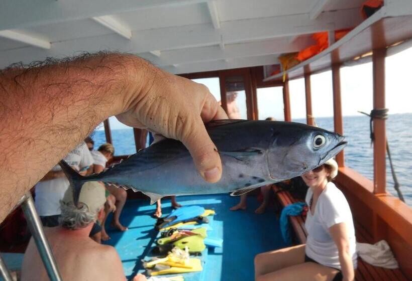 پانسیون Lvis Blancura