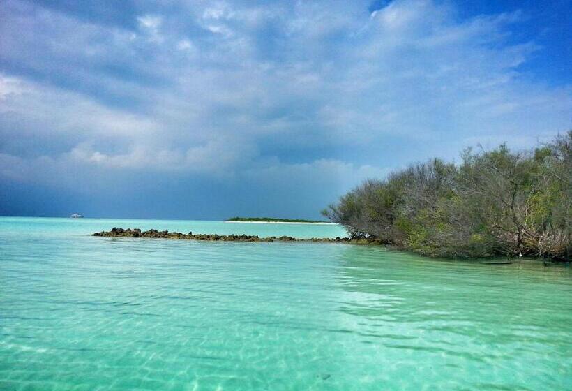 پانسیون Lvis Blancura