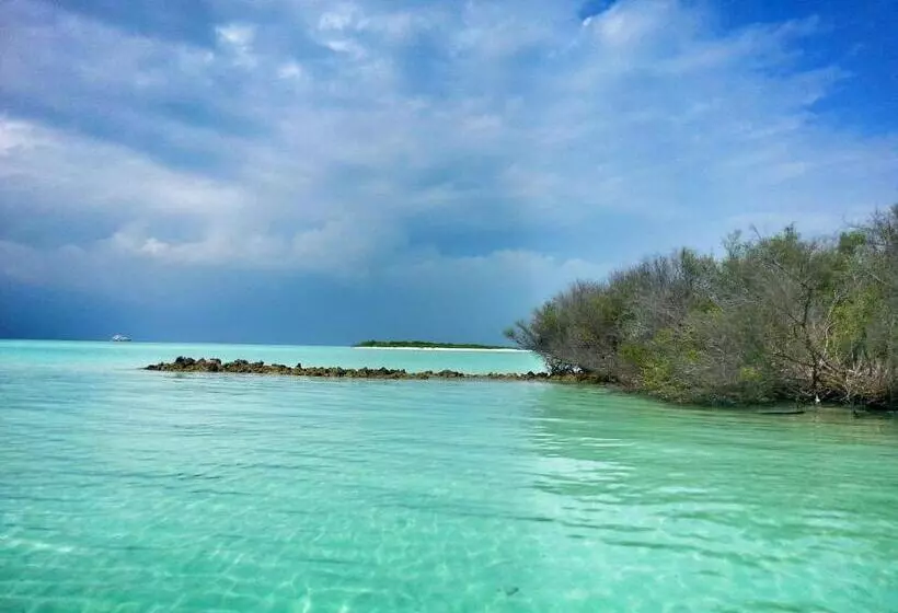 پانسیون Lvis Blancura
