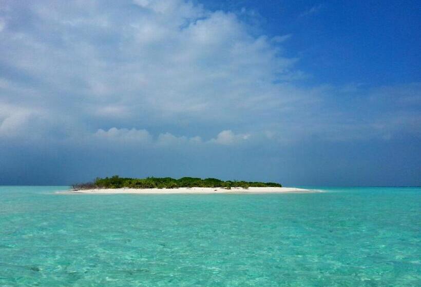 پانسیون Lvis Blancura