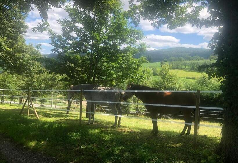 مبيت وإفطار Manoir D Avray Beaujolais