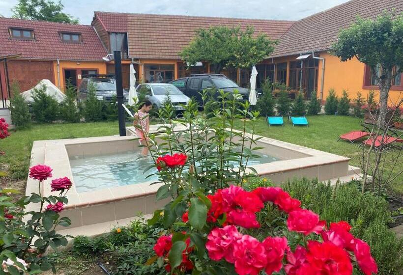 Bed and Breakfast O Mie De Lacuri