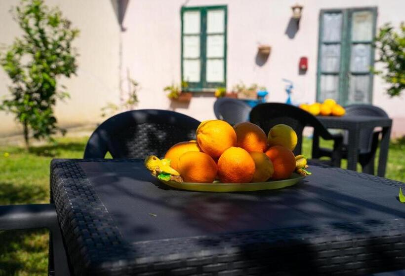 Отель Il Madrigale   Agriturismo B&b